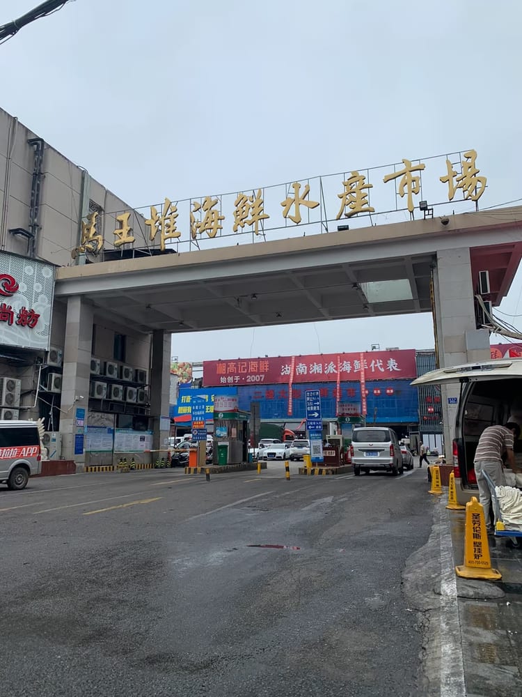 出塘前才找渠道，规格和账期把账面收益打薄。
